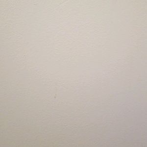 Meet your Posher, Evan